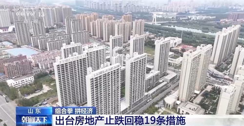 金州房产直播间怎么进的(金州房地产)