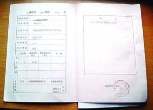 房产证没有证怎么查看(房产证还没有产权证号在哪看)