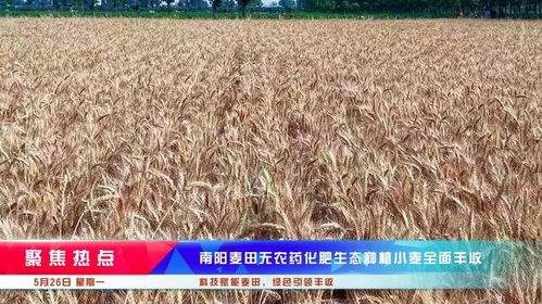 麦田房产顾问工作怎么样(麦田房产工作怎么样谁知道? 麦田房产顾问工作怎么样(麦田房产工作怎么样谁知道?