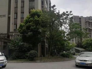江桥中介房产怎么样(江桥中介房产怎么样啊)