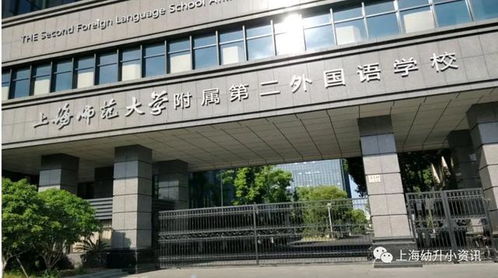 信宜没房产怎么上小学的(没房产 上小学)