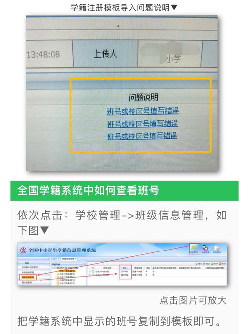 房产证照片怎么拍照的(房产证照片 样本)