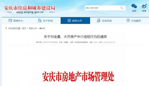 上网查房产怎么查的出(怎么在网上查询房产)