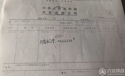 违法所得拍卖房产怎么算(违法拍卖怎么处理)