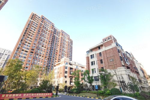 中粮国际房产怎么样(中粮国际属于中粮吗?