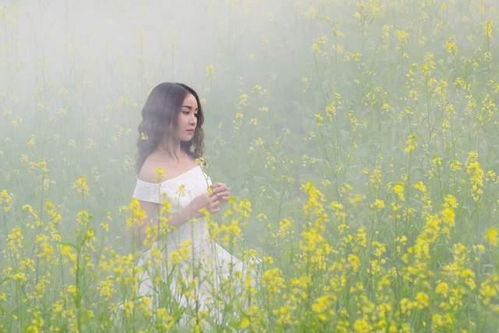 日语表示房产怎么说呢(房子日语翻译)