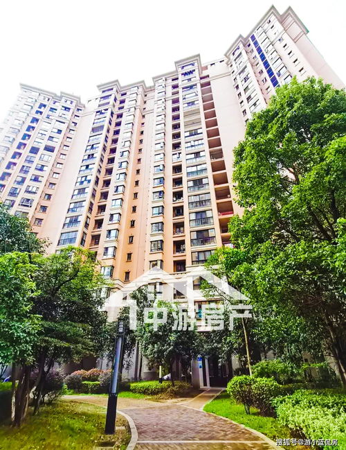 桂花学府房产怎么样啊(桂花学校在哪)