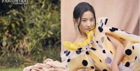 姐姐老想抢房产怎么办(姐姐抢着买单怎么办)