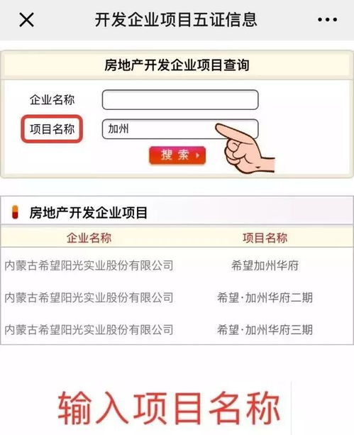 怎么查房产项目名称查询(怎么查房产项目名称查询结果)