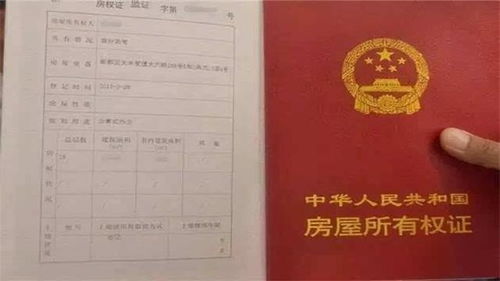 杨凌房产证怎么网上查(杨凌房产证怎么网上查不到了)