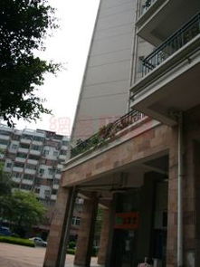 实景房产咨询怎么样啊(实景房是什么意思)