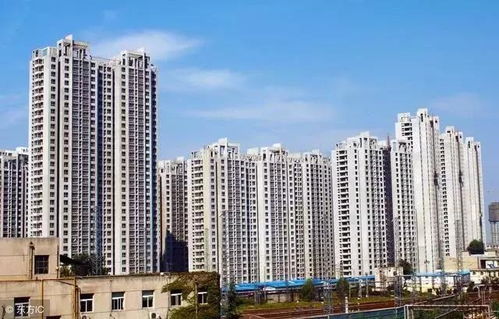惠东宝顺房产怎么样(惠东宝顺房产怎么样知乎)