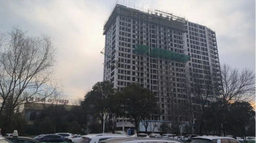 大阳房产传媒怎么样(大阳公司简介)