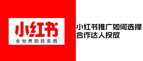 小红书怎么做房产租赁(小红书怎么推广租房)
