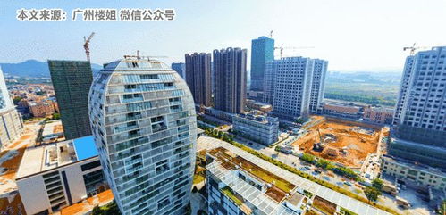 威姐 房产顾问怎么样(威姐 房产顾问怎么样可靠吗)