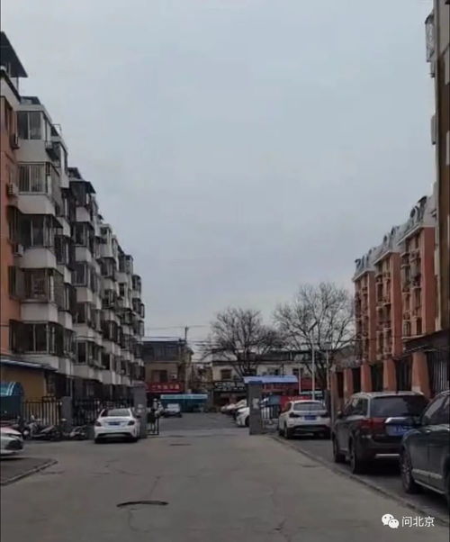 濮阳房产不交房怎么办理(濮阳即将交房小区)
