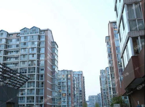 高平优乐房产怎么样(优乐居房产怎么样)