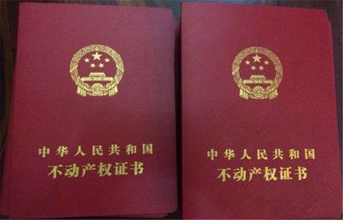 学校要房产信息怎么查询(学校怎么核实房产证)