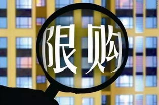 上海的婚前房产怎么分(上海婚前买房政策)