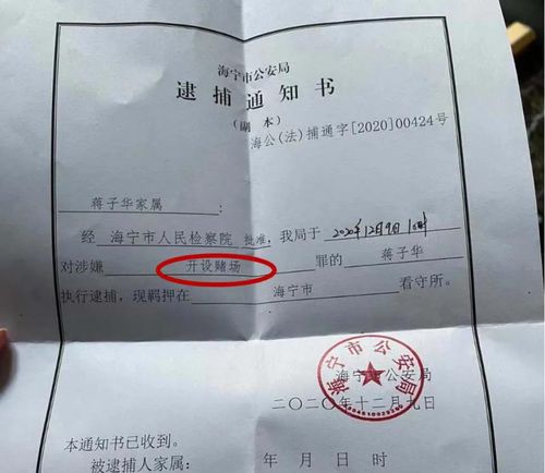网上怎么开房产证浙江(如何在浙里办查房产证)
