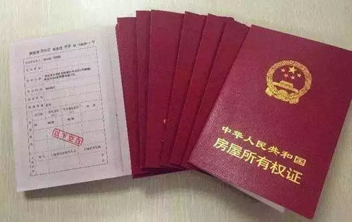 办理假房产证怎么处罚(办理假房照)