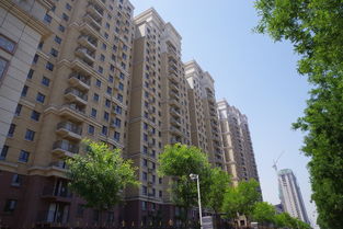 巨森房产文员怎么样(巨森建筑怎么样)