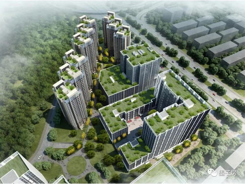 深圳安置房怎么选房产的(深圳安置房怎么选房产的户型)