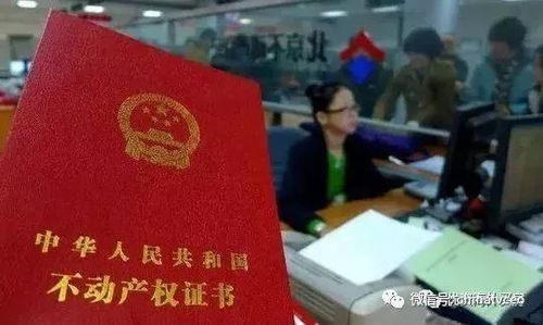 落户上海后房产怎么办证(落户上海后房产怎么办证流程)