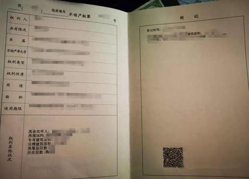 新疆房产证真伪怎么查看(新疆房产证真伪怎么查看图片)