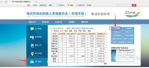 怎么查房产信息记录清单(怎么查房产信息记录清单查询)