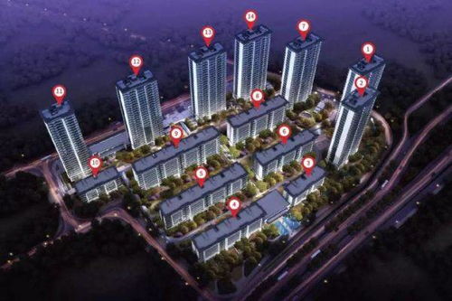 滨江房产在杭州怎么样(滨江房产在杭州开发的新楼盘)