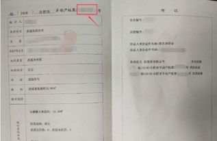 房产证字第号怎么填写(房权证字第号数字排列规律)