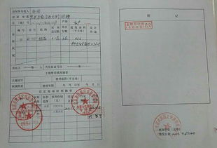 房产证父子份额怎么分(房产证父子共有)