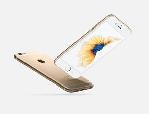 苹果iphone6splus（苹果iphone6splus屏幕尺寸）[20240425更新]