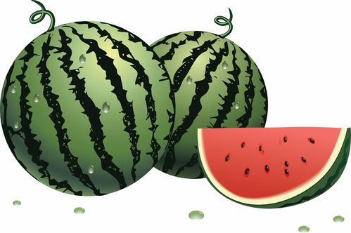 watermelon（watermelon有几个音节）[20240425更新]