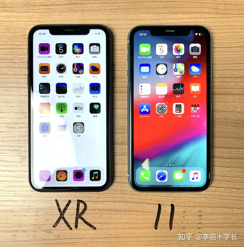苹果xr和苹果11的区别（苹果Xr和苹果11的区别）[20240426更新]