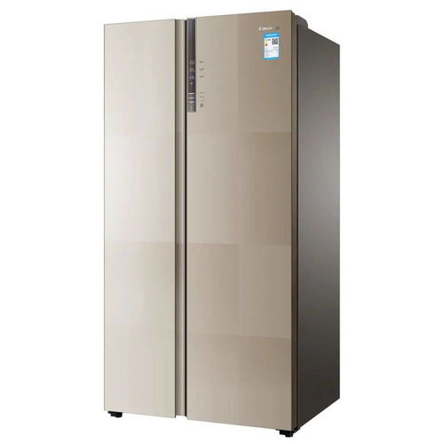电冰箱十大排名（电冰箱的排名）[20240428更新]