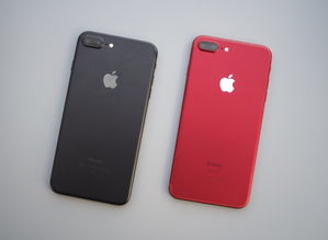 苹果iphone7plus（苹果iphone7plus可以无线充电吗?）[20240428更新]