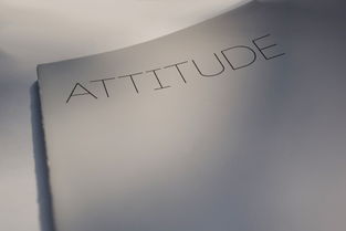 attitude（attitude用法）