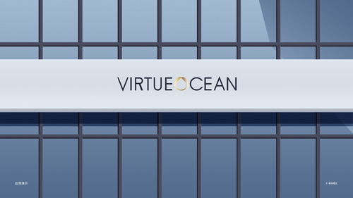 virtue（virtues美德v20下载）