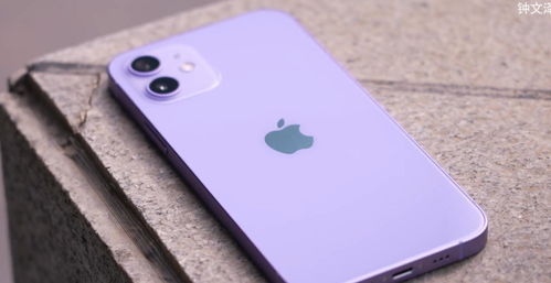 苹果12手机图片颜色（苹果12手机图片颜色哪个好看）[20240429更新]