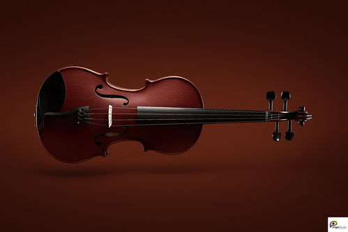 violin（violin小提琴怎么读）[20240430更新]
