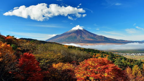 富士苹果和富士山有关系吗（富士苹果和富士山有关系吗蚂蚁森林）[20240501更新]