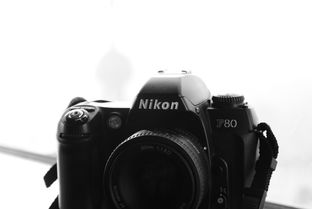 照相机品牌（照相机品牌排行榜前十名）[20240503更新]