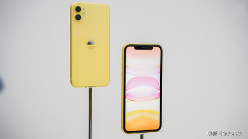 iphone11发布会（iPhone11发布会视频）[20240503更新]