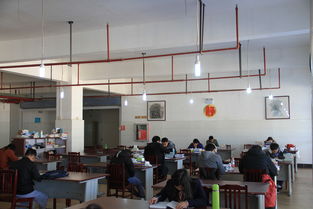 library（library gensis官网）