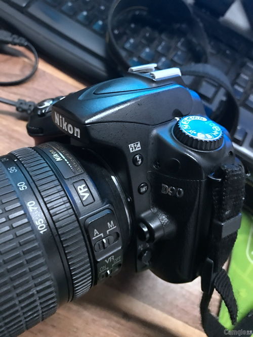 尼康d90相机现在值多少（尼康d90是什么级别的相机）[20240518更新]