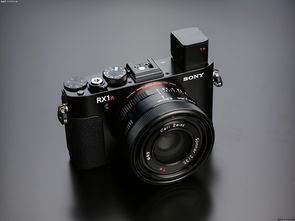 索尼黑卡相机哪款最好（黑卡相机和微单的区别）[20240520更新]