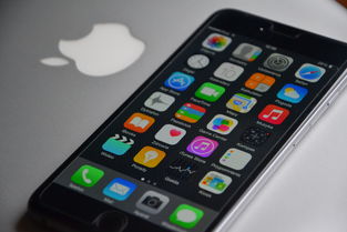 苹果5多少钱现在（iphone5现在多少钱）