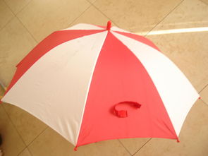 umbrella（umbrellas怎么读）
